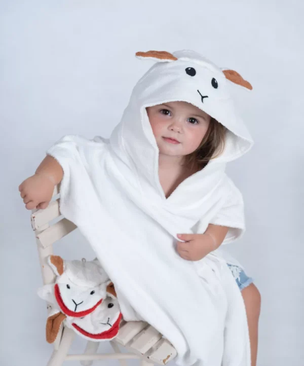 242694-47e87308a73018