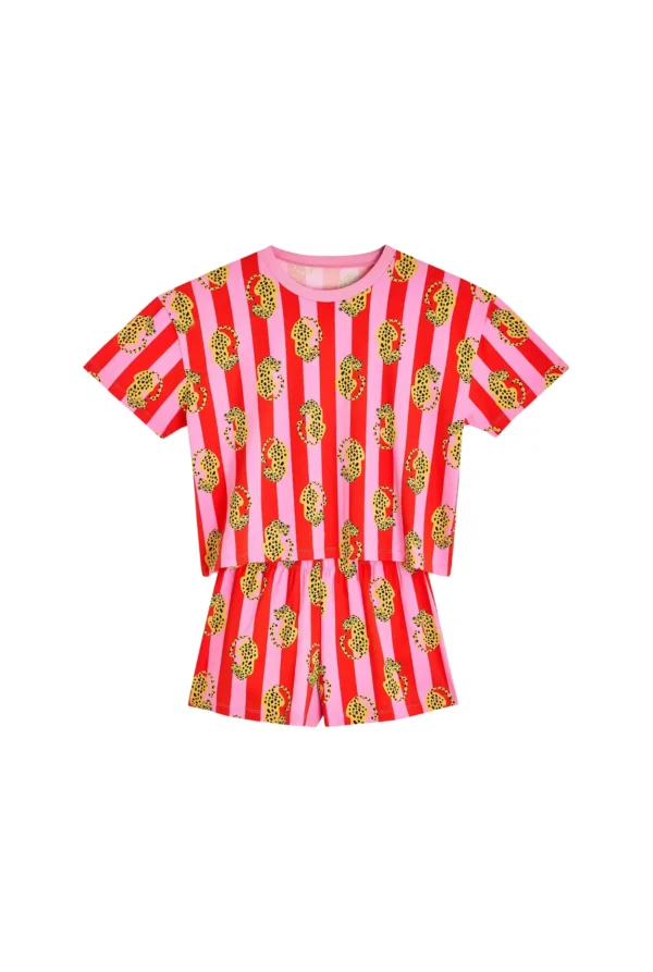 5706354-47f190b2a695e1 5706354-47f190b2a695e1