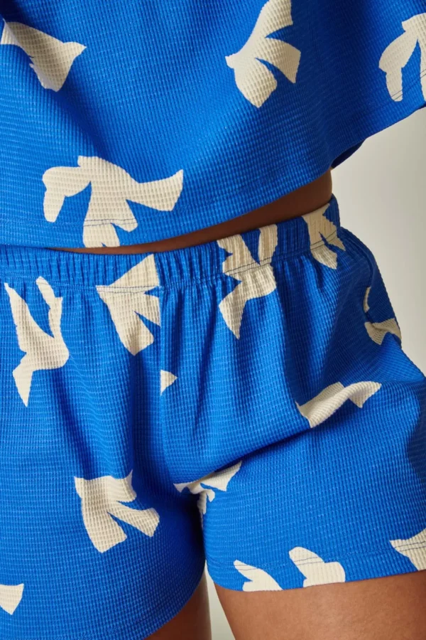 5713697-47f190eda1d432