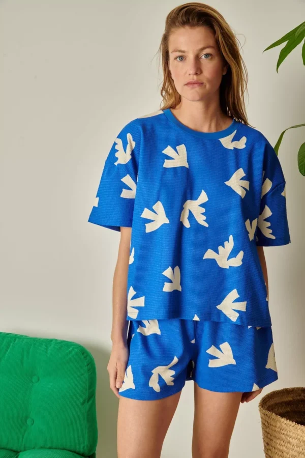 5713697-47f190eda1e15a