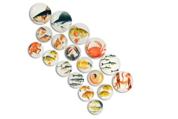 5d0143a33dbea88293eaeaafd3305932a9f3002b82d449a8e3e78354b6757896